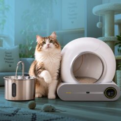 Cat Electronics