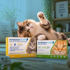 Flea and Tick Treatments