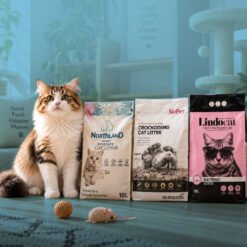 Cat Litter