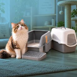 Cat Litter box