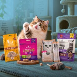 Cat Treats