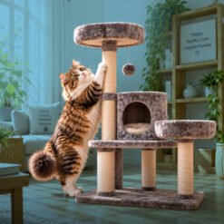 Cat Trees and Scratchers