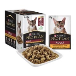 PRO PLAN Adult Tender Pieces Chicken Wet Cat Food – 85g x 12