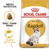 Royal Canin Feline Breed Nutrition Ragdoll Adult 2 kg