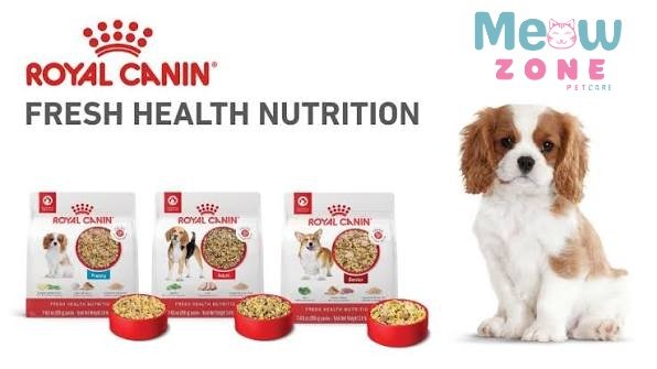 Royal Canin: Understanding Specialized Pet Nutrition for Specific Health Needs